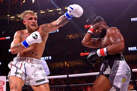 Jake Paul calls for Julio Cesar Chavez Jr bout to ‘silence the critics’ after brutal Woodley KO as..