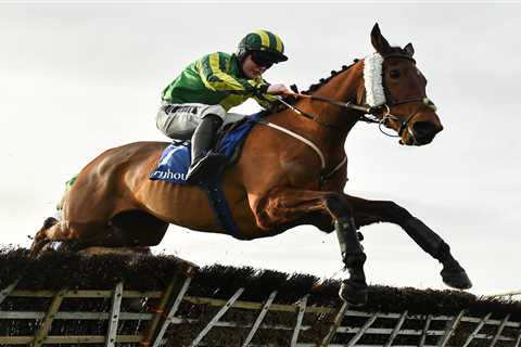 Cheltenham Festival ante post tip: Templegate says recent winner is brilliant 20-1 each way shout