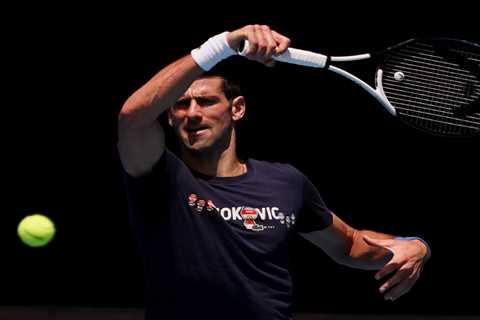 Novak Djokovic could be arrested on the tennis court by armed cops if his visa is axed, former top..