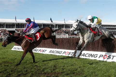 Cheltenham Festival-winning jockey forced to retire aged 31 after horrific fall leaves him with..