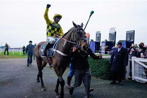 Shishkin wins race for the ages in Clarence House as Henderson star nails gutsy Energumene in Ascot ..