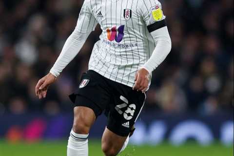 Marco Silva says it has been ‘difficult’ to tempt Fabio Carvalho to sign new Fulham contract amid..