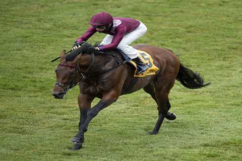 Excitement building for Saudi Cup as Mishriff bids to become highest earning horse ever in world’s..