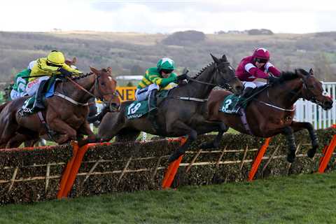 Cheltenham – Gold Cup odds special: 80/1 for Minella Indo or Galvin to win on Friday