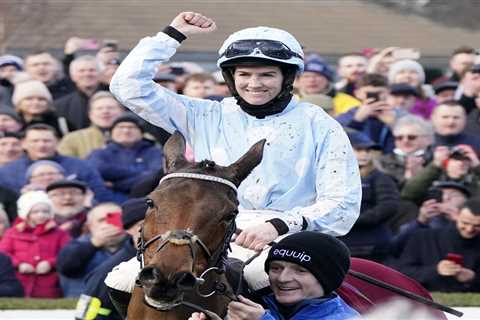 Matt Chapman: Honeysuckle is pin-up girl of Cheltenham Festival but Willie Mullins can get him beat ..