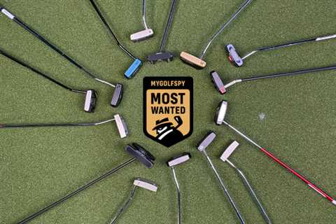 2022 MOST WANTED MALLET PUTTER