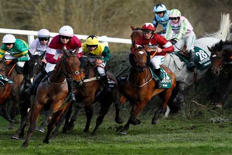 Grand National prediction: Key stats reveal 66-1 outsider owned by family of late billionaire will..