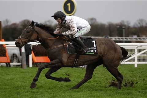 Nicky Henderson decides NOT to take on Champion Hurdler Honeysuckle with star five-year-old..