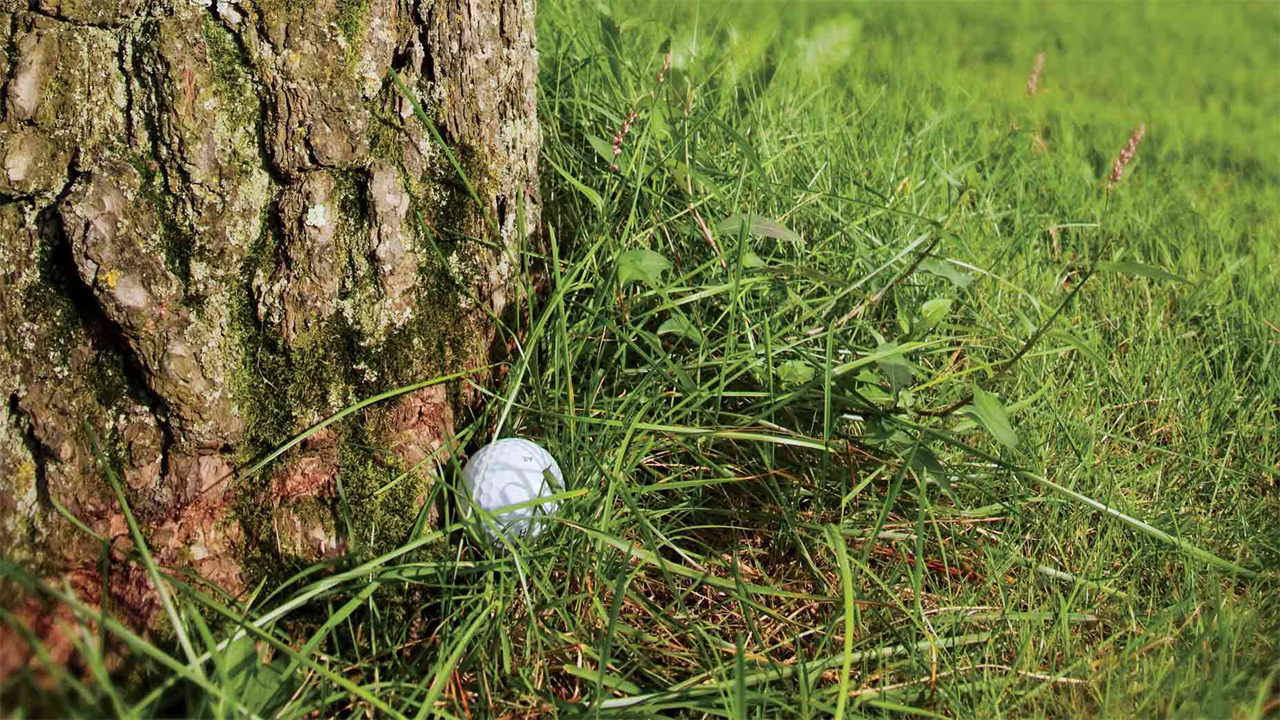 Rules Guy: Is it legal to use the back of your putter to hit a shot?