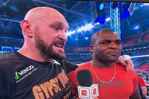 Tyson Fury’s crossover fight with Francis Ngannou slammed as f***ing stupid’ by UFC boss Dana White ..