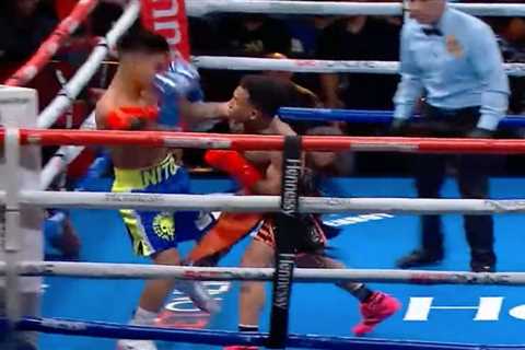 Boxer sent crashing through ropes in ‘knockout of the year’ as photographer forced to cradle his..