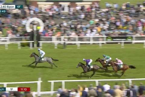 Owner suffered heart attack celebrating winner at Ripon races