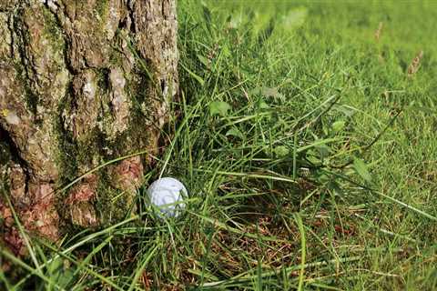 Rules Guy: Is it legal to use the back of your putter to hit a shot?