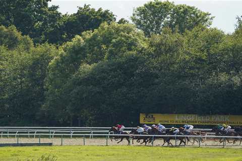 Races abandoned at Lingfield with track deemed unsafe as horses slip on bend in dangerous conditions