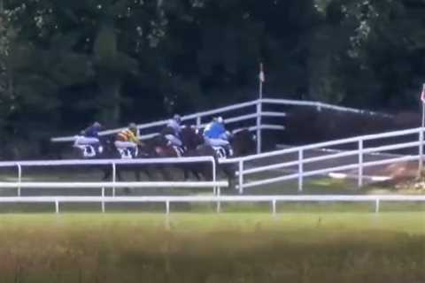 Watch farcical race where ALL the horses refuse to jump, leaving punters stunned