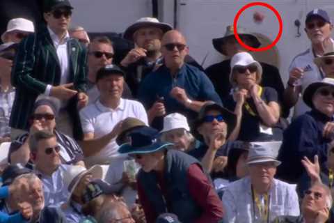 Watch crazy moment New Zealand star’s six splashes into fan’s PINT… as England moan cider-soaked..