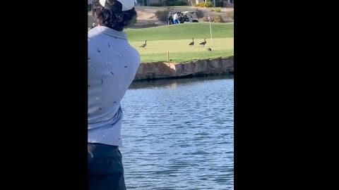 what wrong in this shot??? #golf  #shorts #golftiktok