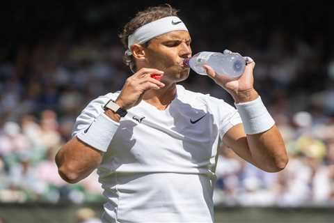 Wimbledon warns players to cut down on food after greedy coach pockets 27 yoghurts