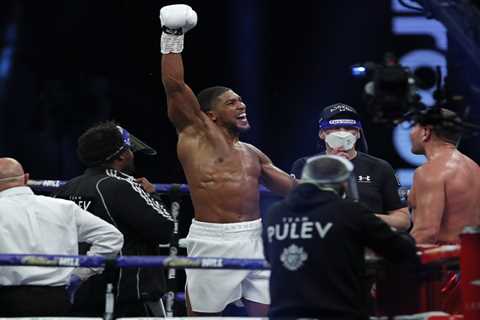 Anthony Joshua must face four opponents before he retires, including Tyson Fury, Deontay Wilder and ..