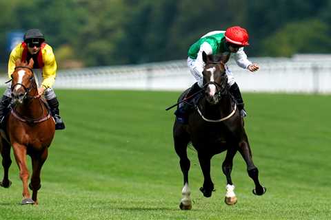 ‘I knew for two weeks he’d win!’ – Huge King George shock at Ascot as outsider Pyledriver wins at..