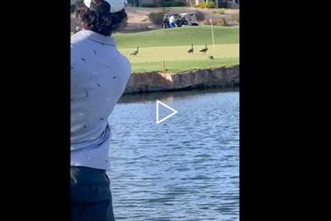 what wrong in this shot??? #golf  #shorts #golftiktok