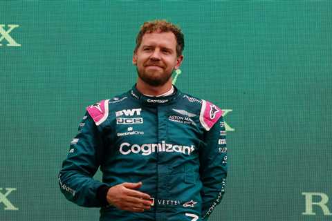 From picking up litter to LGBTQ fight and saving bees – Vettel is more than an F1 great having..