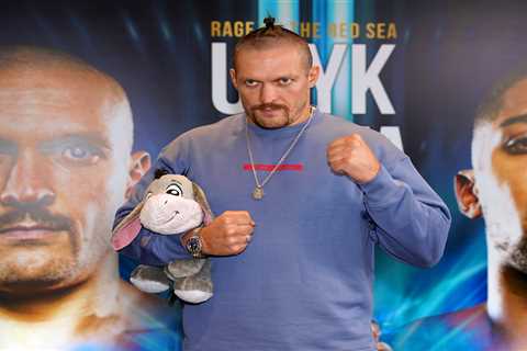 Why is Oleksandr Usyk bringing a stuffed toy donkey to the ring against Anthony Joshua?