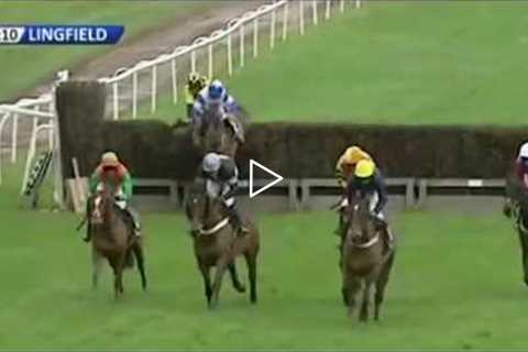 Horse racing thrills and spills - Horse says no!