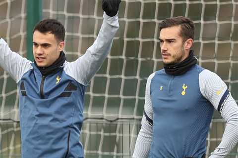 Tottenham: New winger eyed by Antonio Conte as Harry Winks and Sergio Reguilon lead trio of loan..