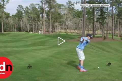 A brave boy hits a hole-in-one in front of Tiger Woods