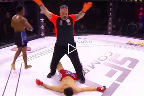 Best MMA Knockouts, 2nd Quarter of 2022 fights, HD