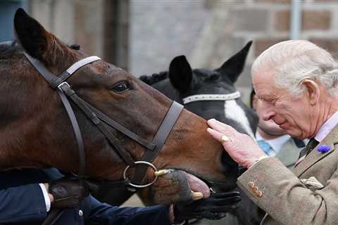 King Charles earns over £1million selling 14 of Queen’s beloved horses as Royal racing operation..