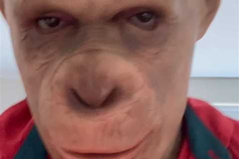 Conor McGregor leaves fans baffled after posting video of himself with MONKEY filter as UFC star..