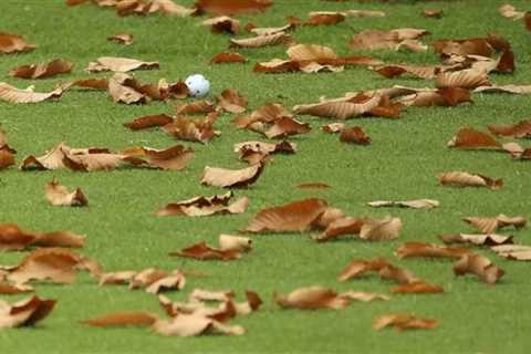 This genius golf-course amenity solves for one of nature's biggest nuisances