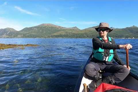 Whale in sight! Paddling trip to Senja in Norway.