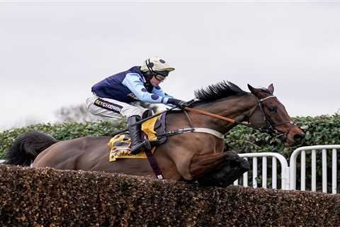 Edwardstone cruises to Tingle Creek victory and now as short as 11-4 for the Champion Chase at..