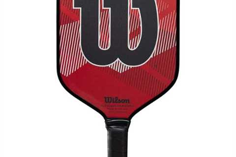 Wilson Tour Pro Pickleball Paddle Review [2022]