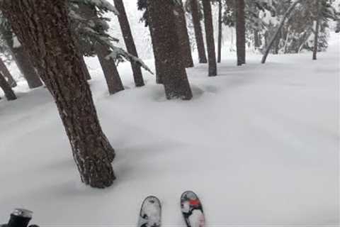 Northstar Tree Skiing ''''22