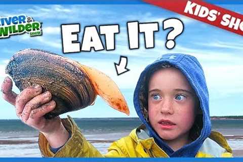 KIDS CATCH AND EAT MYSTERY SEAFOOD ON PEI BEACH | KIDS FUN | RIVER & WILDER