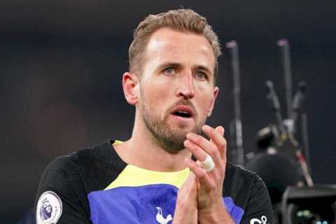 Man Utd ‘already’ likening Kane to Van Persie as Tottenham striker vows to ‘repay’ Conte