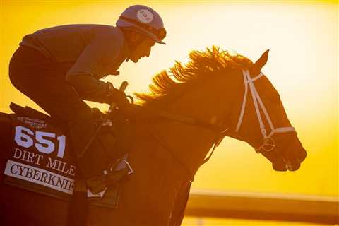 Pegasus World Cup 2023: Cyberknife’s And Proxy’s Race-Within-A-Race