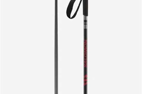 Ski Poles - Bent Or Straight?