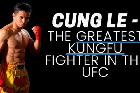 Cung Le | The GREATEST KUNGFU Fighter In The UFC