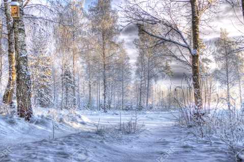 Top 5 Winter Activities in Sweden
