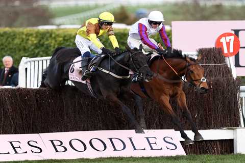 Bravemansgame OUT of Aintree run after last minute shock intervention over owner issue