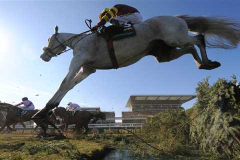 What grey horses are running in the Grand National 2023 and when was the last time a grey horse won?