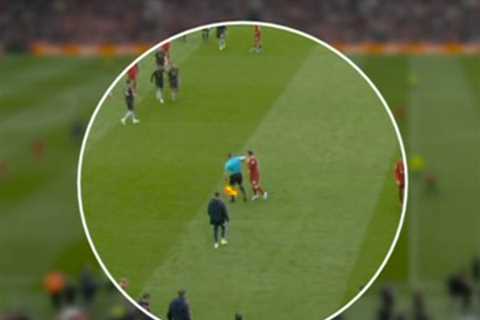 Liverpool vs Arsenal linesman Constantine Hatzidakis will NOT face FA punishment for alleged elbow..