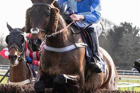 Meet the stunning Grand National WAGS cheering on the runners and riders – from former pole vault..