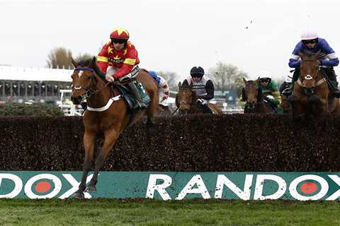 Grand National horse numbers 2023 – full list of runners for HUGE Aintree showpiece race