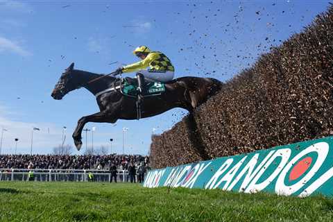 5.15 Aintree 2023 result – day 2: Who won Handicap Hurdle? How every horse finished at Grand..